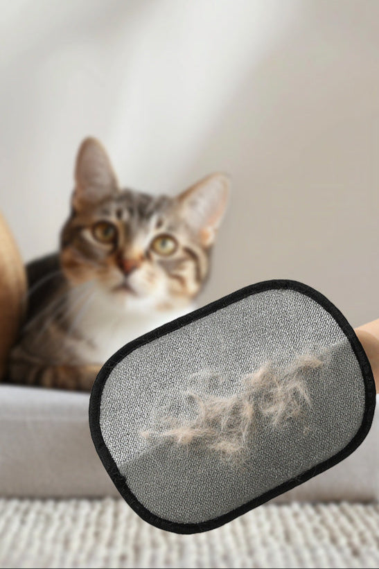 Pet static hair removal gloves cat hair removal brush hair removal gloves